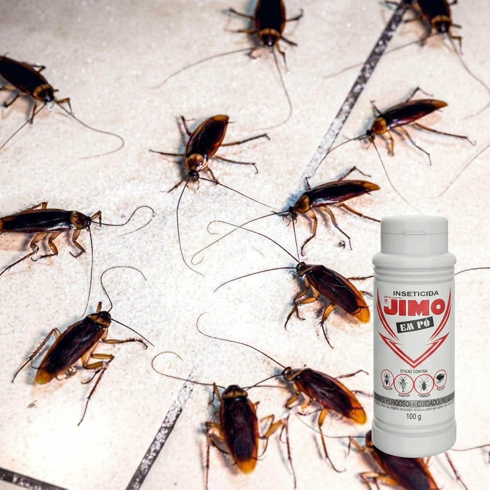 Kit 2 Inseticida Jimo em Pó 100g Elimina Formigas Baratas Traças e Pulgas